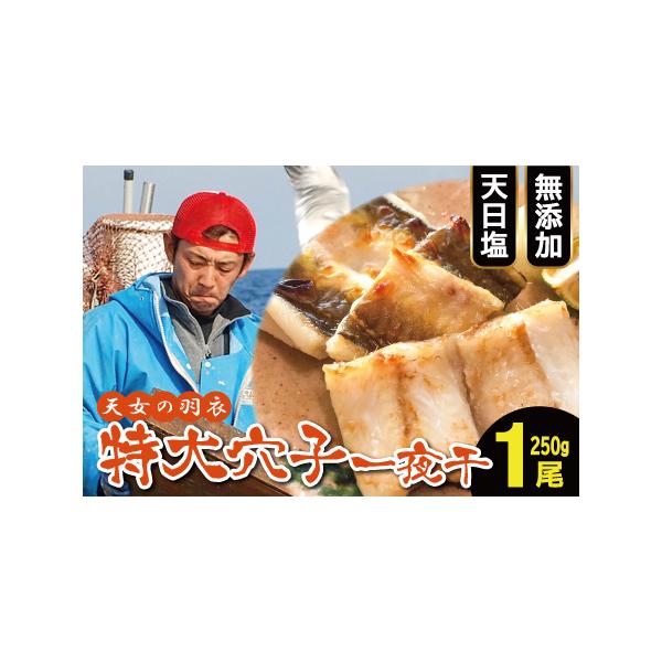 ■ 容量　あなご一夜干（250g）×1枚　　長さ：50〜60cm　※半分にカットしたものを繋げて測ったサイズです　幅：6〜8cm　※魚体の半分のところを図ったサイズです、一番幅の広い箇所だと10〜12cmくらいです。　厚さ：約2cm■ 配送...