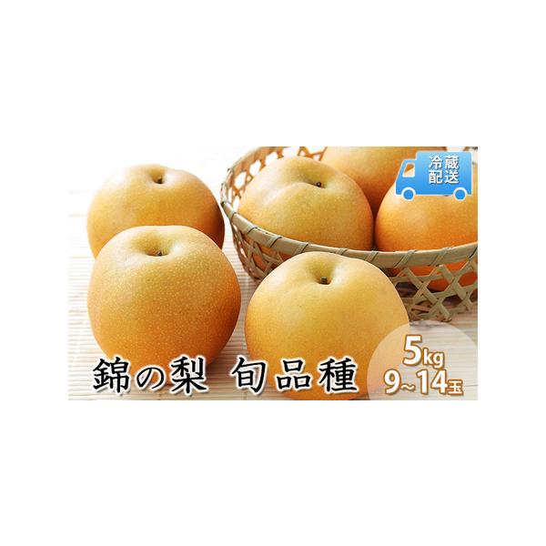 ■ 容量　錦の梨 5kg (約9玉〜14玉)　■ 配送について　2026年8月上旬〜10月下旬　　タイプ：【冷蔵】