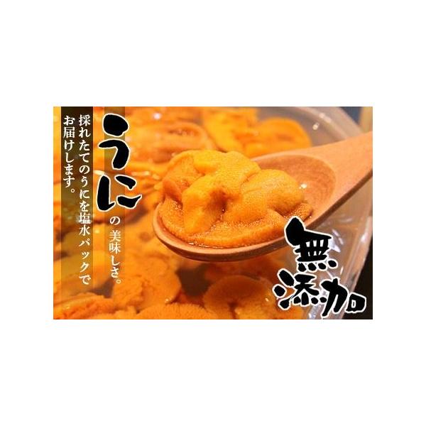 ふるさと納税 無添加蝦夷バフンウニ塩水パック100g×2P C-90006 北海道根室市 :276941:ふるなび(ふるさと納税) - 通販 - Yahoo!ショッピング ふるさと納税 無添加蝦夷バフンウニ塩水パック100g×2P C-90006 北海道根室市 :276941:ふるなび(ふるさと納税) - 通販 - Yahoo!ショッピング