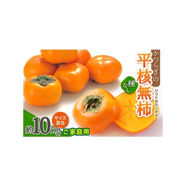 ふるさと納税 ◇先行予約◇和歌山県産 平核無柿<ご家庭用>約10kg【2023年10月上旬以降発送】 和歌山県かつらぎ町 :279945:ふるなび( ふるさと納税) 通販 ふるさと納税 ◆先行予約◆和歌山県産 平核無柿<ご家庭用>約10kg 和歌山県上富田町