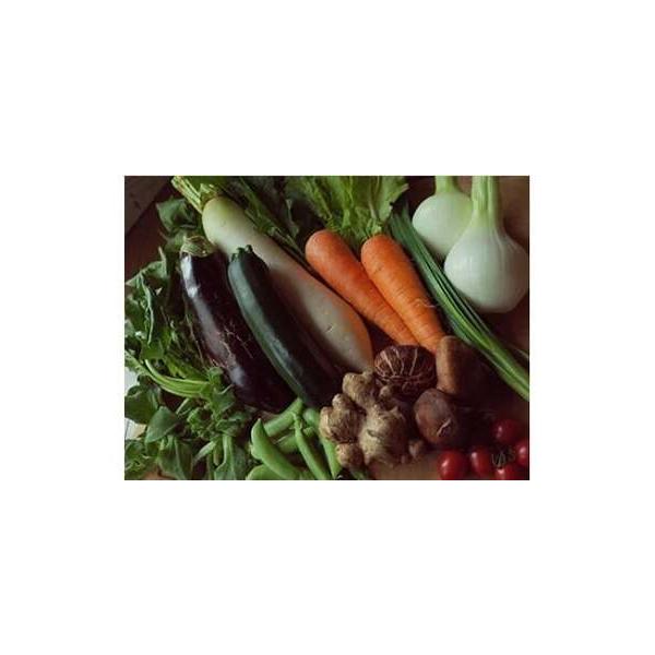 ■ 容量　■内容量/原産地　旬のお野菜:10〜13品目　※内容はお任せとなります。　原産地:高知県土佐市　　■消費期限　葉物・果菜類は1週間以内、根菜は2週間以内にご賞味下さい。　　■注意事項/その他　・保管は、冷暗所をおすすめ致します。　...