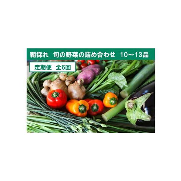 ■ 容量　■内容量/原産地　旬のお野菜:10〜13品目　　例）１月から発送する場合　１月、２月、３月、４月、５月、６月の全６回発送。　　※内容はお任せとなります。　原産地:高知県土佐市　　■消費期限　葉物・果菜類は1週間以内、根菜は2週間以...