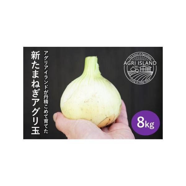 ■ 容量　新たまねぎ８kg(M~Lサイズ混合)■ 配送について　３月下旬から５月下旬の間で、お申込みをいただいた順に発送致します。　※天候等の関係で、発送時期が前後する場合がございます。　※お申込みの集中により、到着までお時間をいただく場合...