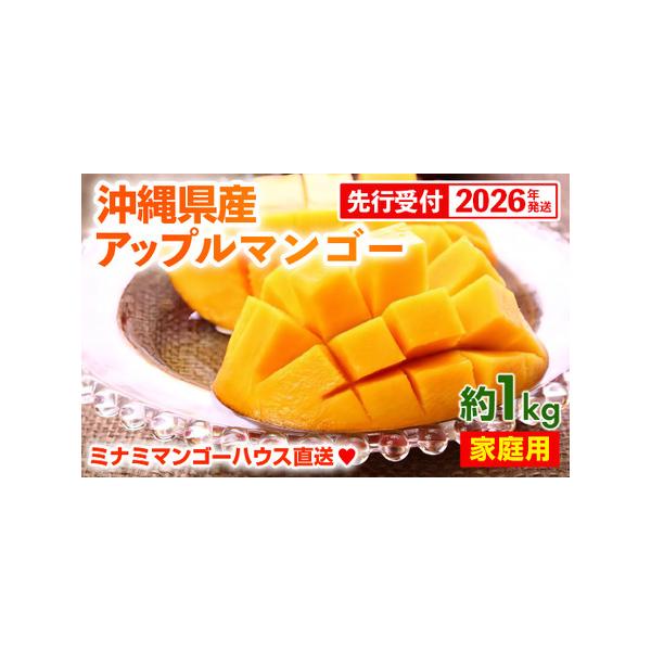 ■ 容量　家庭用ミナミマンゴーハウスのアップルマンゴー約1kg（2〜4玉）　※色・キズ有り・不揃いの為、見た目は落ちますが、味や甘さは変わりありません。ご家庭用としてご賞味ください。　※玉数の指定はできません　※数に限りがございます。数量に...