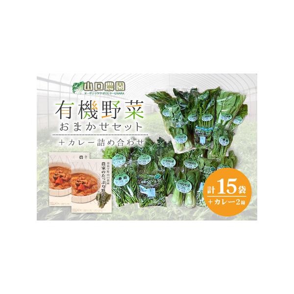 ふるさと納税 (チルド) 山口農園 有機野菜 おまかせセット+カレー2箱 詰合せ/ オーガニック レトルトカレー 奈良県宇陀市 :283421:ふるなび(ふるさと納税) - 通販 - Yahoo!ショッピング ふるさと納税 (チルド) 山口農園 有機野菜 おまかせセット+カレー2箱 詰合せ/ オーガニック レトルトカレー 奈良県宇陀市 :283421:ふるなび(ふるさと納税) - 通販 - Yahoo!ショッピング