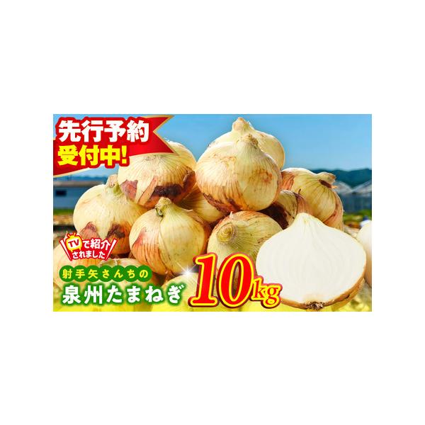 ■ 容量　泉州たまねぎ 10kg　※画像はイメージです。■ 配送について　2026年5月〜7月の期間で寄附受付順に発送予定　タイプ：【常温】