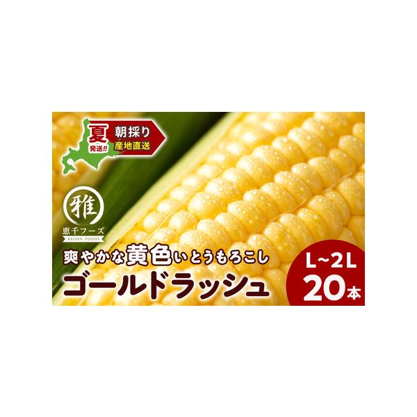 ■ 容量　とうもろこし（ゴールドラッシュ　L〜2L）　20本　　消費期限 到着後はなるべくお早めにお召し上がりください。　　アレルギー 特定原材料7品目および特定原材料に準ずる21品目は使用していません　タイプ：【冷蔵】