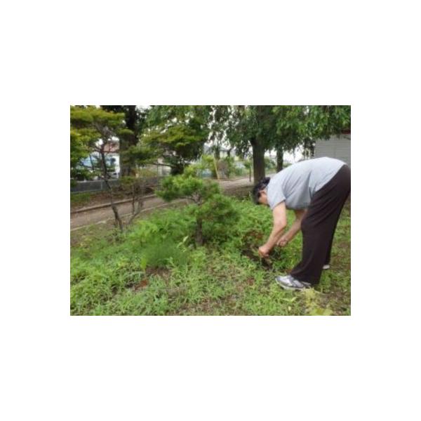 ■ 容量　空き家の点検、簡易作業（清掃、除草）を行います。　1、空き家を訪問し点検、簡易作業（清掃、除草　作業時間：2時間程度）を行います。　2、作業後の報告書を作成し、清掃後の写真とご一緒に郵送でお送り致します。　　タイプ：【常温】