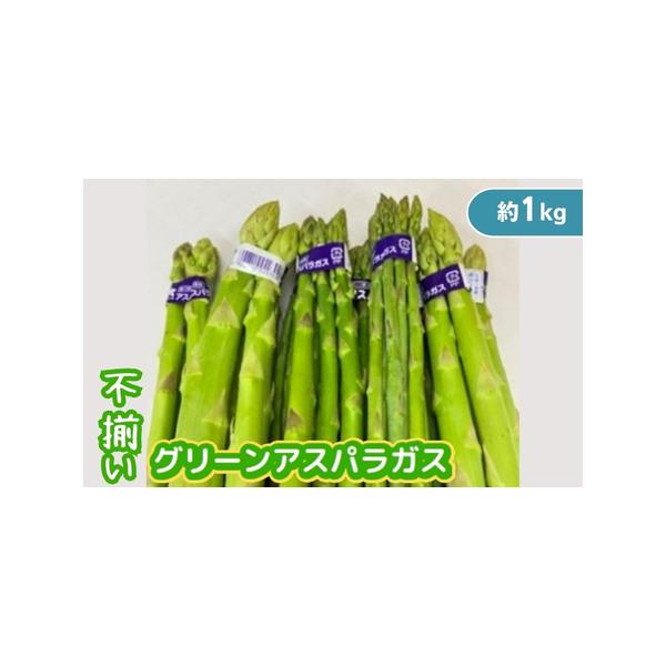 ■ 容量　サイズ混合 約1kg(100g×10束)　■ 配送について　2026年6月中旬〜10月上旬　　タイプ：【冷蔵】