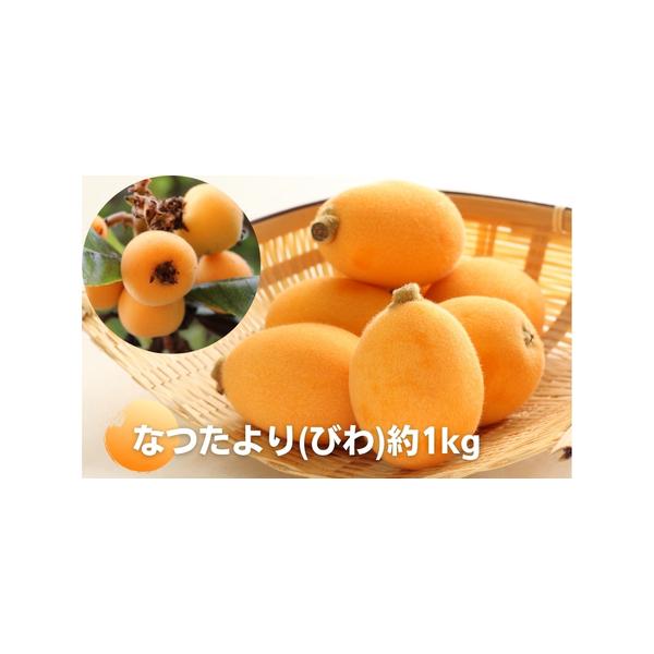 ■ 容量　約1kg（約250g×4パック）　■ 配送について　2026年5月下旬〜6月下旬　　タイプ：【冷蔵】