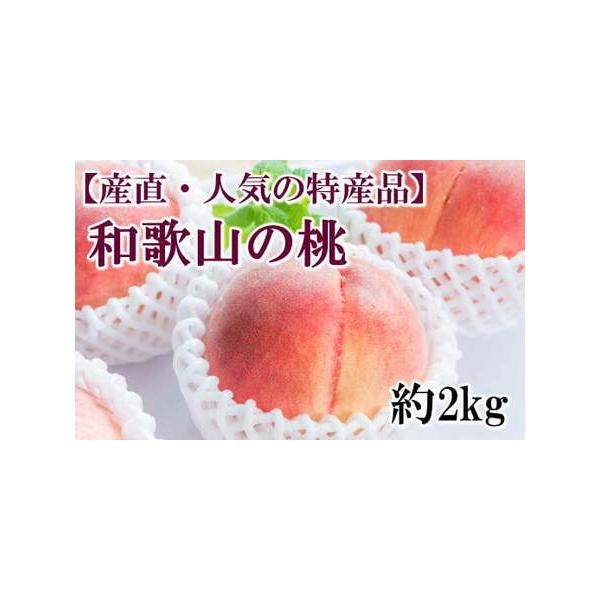 ふるさと納税 【産直・人気の特産品】和歌山の桃 約2kg・秀選品※2023年6月下旬頃から8月中旬頃順次発送【tec910】 和歌山県北山村 :295634:ふるなび(ふるさと納税) - 通販 - Yahoo!ショッピング ふるさと納税 【産直・人気の特産品】和歌山の桃 約2kg・秀選品※2023年6月下旬頃から8月中旬頃順次発送【tec910】 和歌山県北山村 :295634:ふるなび(ふるさと納税) - 通販 - Yahoo!ショッピング