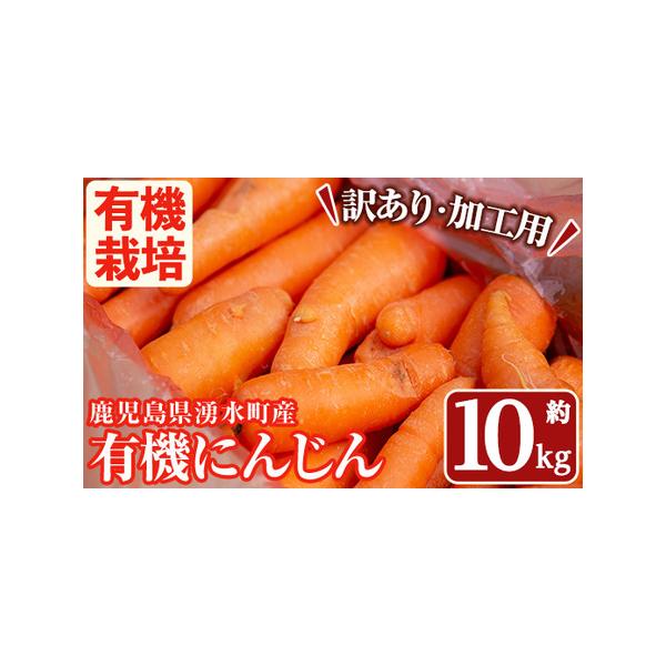 ■ 容量　≪訳あり≫湧水町産有機にんじん(1箱)　・約10kg　※訳あり品になります。割れや傷みの他、根や芽があるものも混じることがございます。ご理解の上、ご寄附をお願いいたします。■ 配送について　入金確認後、1ヶ月以内の発送　※配送日時...