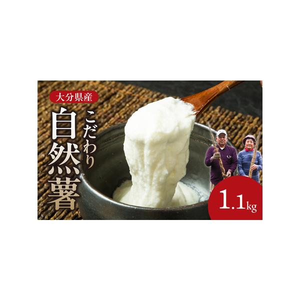 ■ 容量　約1.1kg■ 配送について　ご入金確認後、順次発送予定　　【※必ずご確認ください※】　※長期不在、住所不明等で返礼品をお受取りいただけなかった場合、再発送は出来かねますので、ご了承ください。　※お受け取りできない期間が予め分かっ...