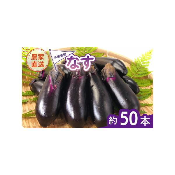 ■ 容量　海陽町産なす　約５０本■ 配送について　2026年7月以降順次発送予定です。　タイプ：【冷蔵】