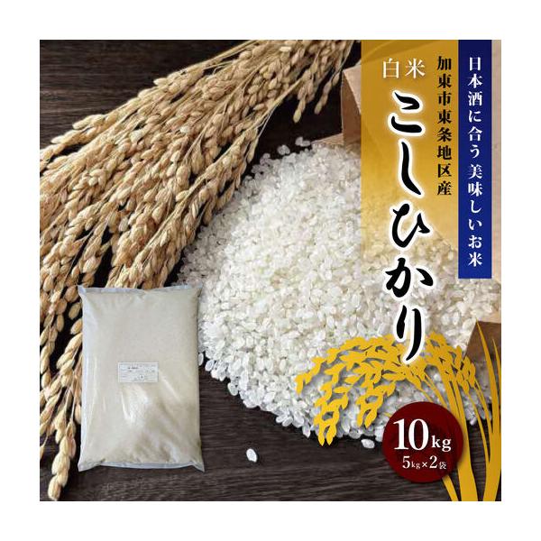 ふるさと納税 令和7年産 コシヒカリ 白米 10kg (5kg×2) / 加東市東条地区産 お米 精米 訳あり 簡易包装 米 コメ こしひかり 兵庫県産 5キロ.. 兵庫県加東市