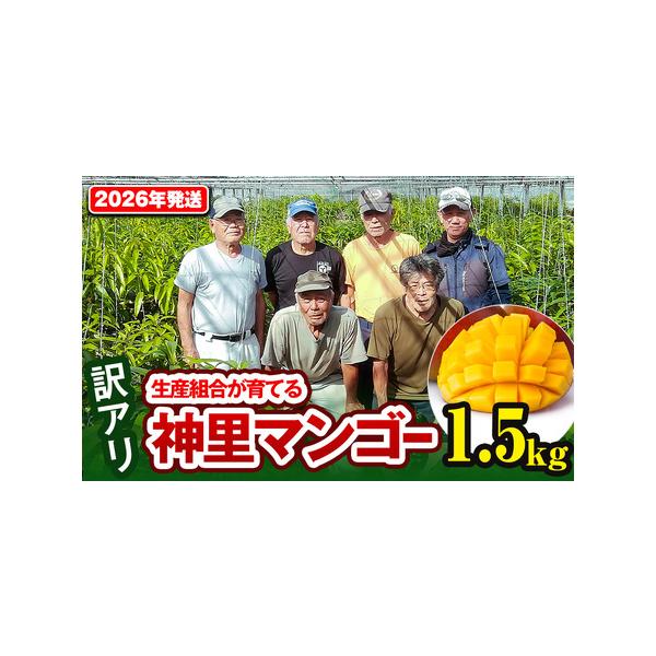 ■ 容量　マンゴー　1.5kg（3玉〜6玉）　※玉数の指定はできません。　※多少のキズがあるため、ご家庭用としてお召し上がりください。　　消費期限：青果物のため、早めにお召し上がり下さい。　　アレルギー：ウルシ科■ 配送について　申込期日：...