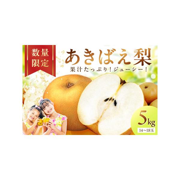 ■ 容量　5kg（14〜18玉）　　【賞味期限】　出荷日より7日　　【保存方法】　常温保存■ 配送について　【配送可能期間】　2026年8月中旬〜9月中旬　※季節のものですので、出荷期間内で良いものが収穫でき次第出荷致します。　　【配送不可...