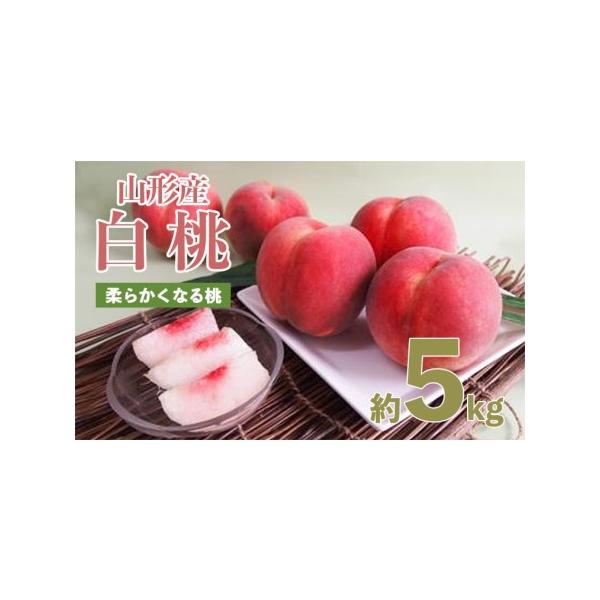 ■ 容量　【令和8年産】　山形産白桃 小玉サイズ(柔らかくなる桃)秀品約5kg(18〜22玉)■ 配送について　【申込期日】2026年07月31日まで　【発送期間】2026年08月08日頃〜2026年09月08日頃　※状況により配送時期が前...