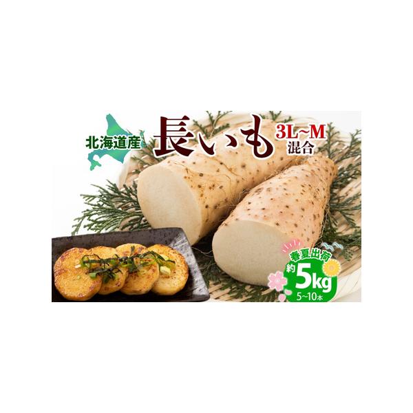 ■ 容量　約5kg（サイズ3L〜M混合、本数5〜10本入）　　産地：北海道産　　地場産品基準：4号　洞爺湖町内の農場を含むとうや湖農業協同組合管内で収穫された長いもはすべて洞爺胡町の集荷センターに集められて保管されるため、混在が避けられない...