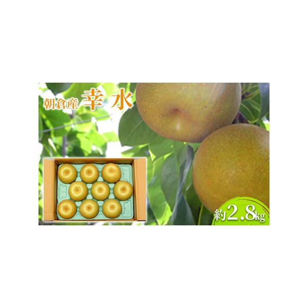 ■ 容量　約2.8kg（9〜10玉）　■ 配送について　2026年7月中旬〜8月上旬　　タイプ：【冷蔵】