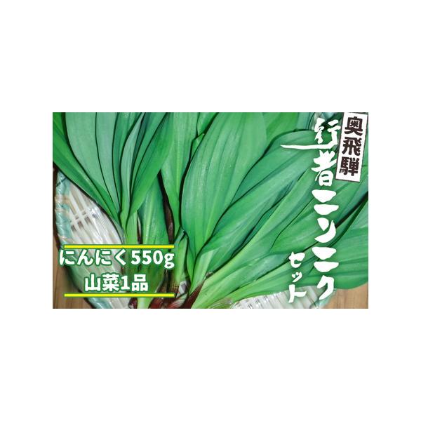 ■ 容量　・行者ニンニク550g　・山菜1品　・山菜についての簡単な処理方法■ 配送について　例年4月20日頃から5月初旬にかけて、収穫次第順次発送します。　発送期間以外は予約受付のみです。　タイプ：【冷蔵】