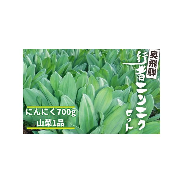 ■ 容量　・行者ニンニク700g　・山菜1品　・山菜についての簡単な処理方法■ 配送について　例年4月20日頃から5月初旬にかけて、収穫次第順次発送します。　発送期間以外は予約受付のみです。　タイプ：【冷蔵】