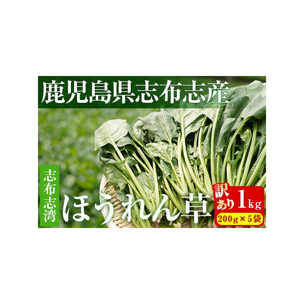■ 容量　志布志湾ほうれん草 訳あり品　計1kg(200g×5袋)■ 配送について　入金確認後、翌月末までに配送　　※お届けに関して　配送日の指定はできませんが、翌月末までに３日以上連続するご不在日がございましたら、そのお日にちは避けて配送...