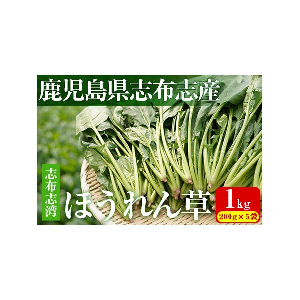 ■ 容量　志布志湾ほうれん草　計1kg(200g×5袋)■ 配送について　【配送】入金確認後、翌月末までに配送　　※お届けに関して　配送日の指定はできませんが、翌月末までに３日以上連続するご不在日がございましたら、そのお日にちは避けて配送し...