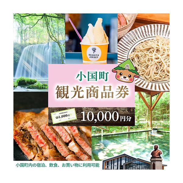 ふるさと納税 【ASOおぐに観光協会】阿蘇 小国町 観光商品券 1000円券 10枚 1万円 一万円 熊本 阿蘇 小国町 杖立温泉 わいた温泉郷 湯けむり 蒸.. 熊本県小国町