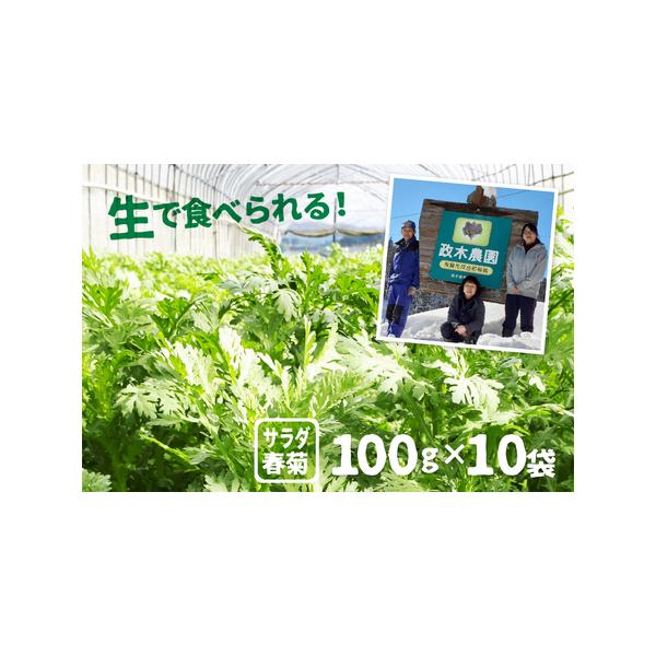 ■ 容量　サラダ春菊 100g × 10袋　計1000g■ 配送について　2026年6月上旬〜10月末に収穫次第順次発送します。　タイプ：【冷蔵】