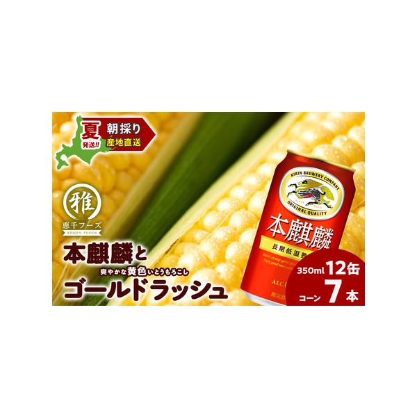 ■ 容量　キリン本麒麟350ｍl×12缶　ゴールドラッシュ（とうもろこし）7本　　消費期限 到着後はなるべくお早めにお召し上がりください。　　アレルギー 大豆　※ 表示内容に関しては各事業者の指定に基づき掲載しており、一切の内容を保証するも...
