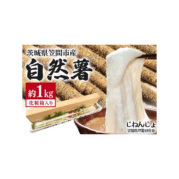 ■ 容量　自然薯　約1kg■ 配送について　ご寄附納入確認後、1ヶ月程度でお送りいたします。　※7月 - 9月は冷蔵配送です。　タイプ：【常温】【冷蔵】