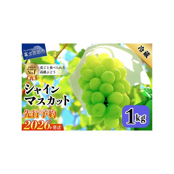 ■ 容量　山梨県産 シャインマスカット 約1kg(2〜3房)　　※2026年9月上旬から10月中旬頃のお届けとなります。　※日時指定は出来かねておりますのでご注意ください。　※沖縄および離島へのお届けはできません。　　■申込期日　2026年...