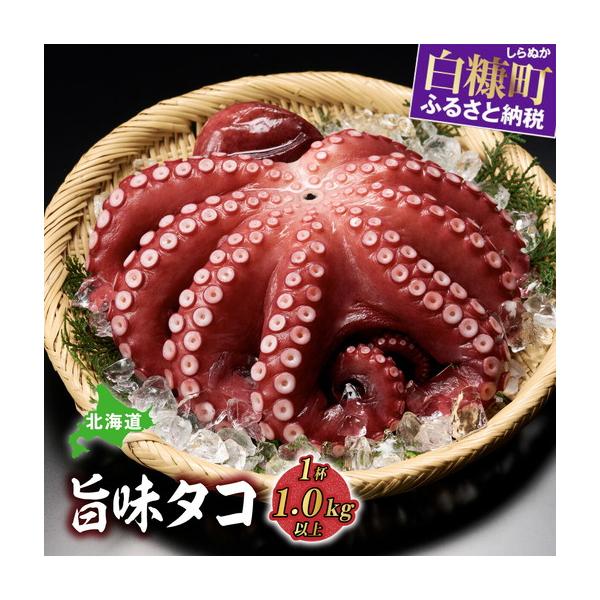 ふるさと納税 ＼高評価 4.8／ 北海道旨味たこ【1.0kg以上×1杯】_I012-0508 北海道白糠町
