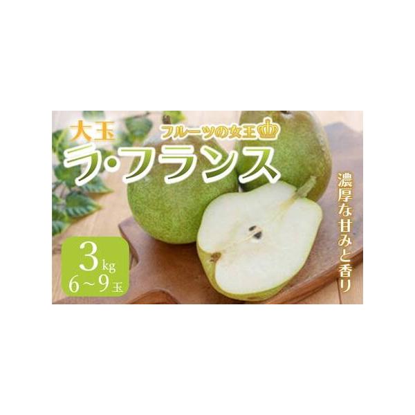 ■ 容量　大玉ラ・フランス 3kg 6〜9玉■ 配送について　2026年10月下旬頃〜11月中旬頃　タイプ：【常温】