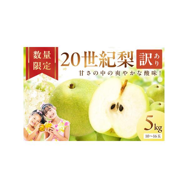 ■ 容量　5kg（10〜16玉）　　【原材料】　20世紀梨　　【賞味期限】　出荷日から8日間　　【保存方法】　冷蔵■ 配送について　【配送可能期間】　2026年8月下旬〜9月下旬　※天候の状況などにより出荷期間が前後することがあります。　　...