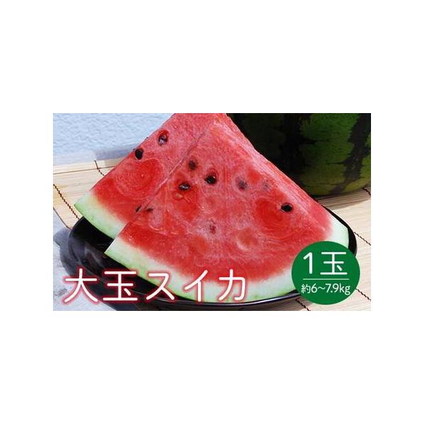 ■ 容量　大玉スイカ1玉[L〜2Lサイズ／約6〜7.9kg]■ 配送について　2026年7月下旬頃〜8月中旬頃　タイプ：【常温】