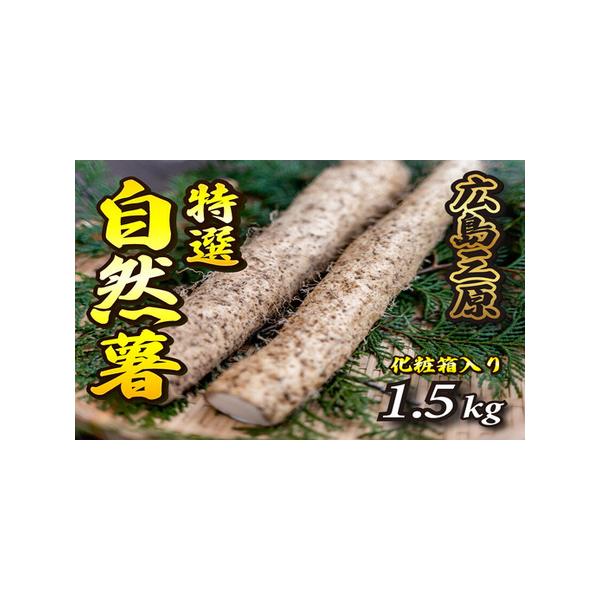 ■ 容量　1.5kgでだいたい2〜3本分の自然薯が入っています。　　タイプ：【常温】