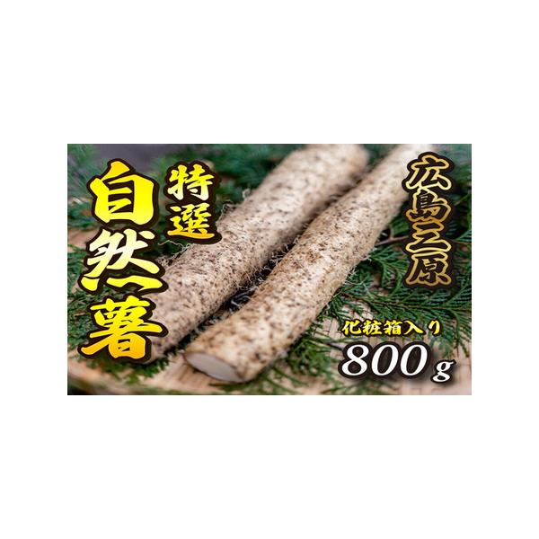 ■ 容量　自然薯の切り芋が約3本　　タイプ：【常温】