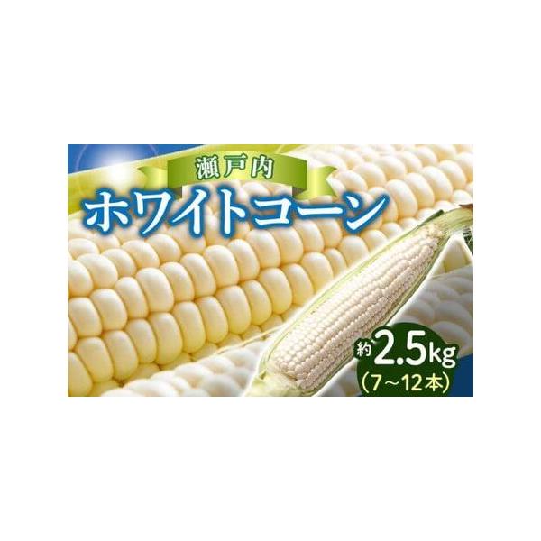 ■ 容量　■内容量/原産地　ホワイトコーン約2.5kg(7〜12本)　原産地:高松市　【賞味期限】　■賞味期限　7日■ 配送について　6月中旬〜7月中旬　※北海道、沖縄、離島にはお届けできません。　【受付期間】　2024年9月6日〜2026...