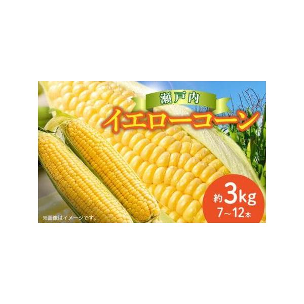 ■ 容量　■内容量/原産地　イエローコーン約3kg(7〜12本)　原産地:高松市　【賞味期限】　■賞味期限　7日■ 配送について　6月上旬〜7月中旬　※北海道、沖縄、離島にはお届けできません。　【受付期間】　2024年9月6日〜2026年6...
