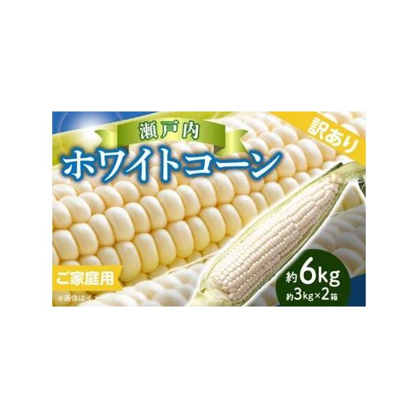 ■ 容量　■内容量/原産地　ホワイトコーン約3kg×2箱　原産地:高松市　【賞味期限】　■賞味期限　7日■ 配送について　6月中旬〜7月中旬　※北海道、沖縄県、離島にはお届けできません。　【受付期間】　2024年9月6日〜2026年6月20...