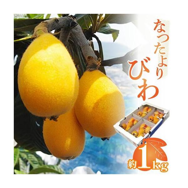 ふるさと納税 なつたよりびわ　約1kg (約250g×4パック)【2027-5月中旬〜2027-6月中旬配送】 香川県高松市