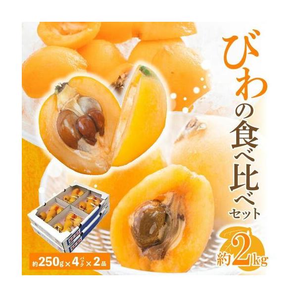 ふるさと納税 びわの食べ比べセット 約2kg【2026年5月上旬〜2026年6月中旬配送】| びわ 香川県高松市