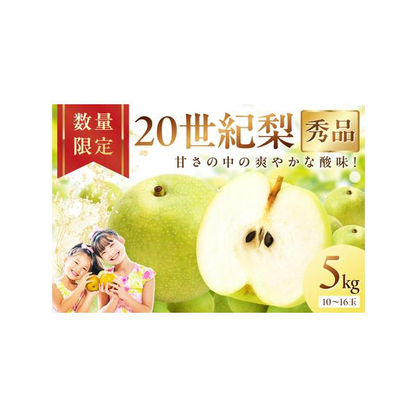 ■ 容量　5kg（10〜16玉）　　【賞味期限】　出荷日から8日間　　【保存方法】　冷蔵■ 配送について　【配送可能期間】　2026年8月下旬〜9月下旬　※天候の状況などにより出荷期間が前後することがあります。　　【 配送不可地域】　北海道...