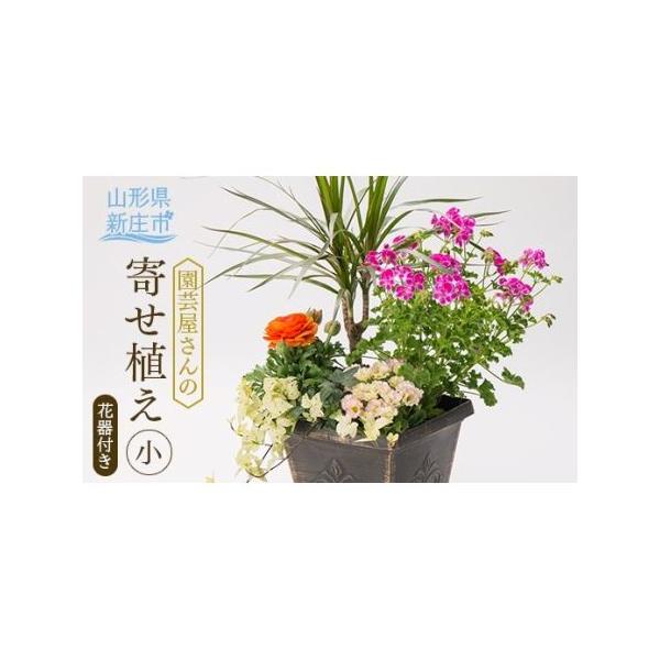 ■ 容量　植物・花 おまかせ5種程度 花器付き■ 配送について　入金確認から、2〜6週間ほどでお届け。　タイプ：【常温】
