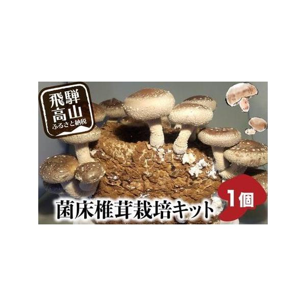 ふるさと納税 先行予約 菌床椎茸栽培キット 1個 | しいたけ 飛騨高山きのこの里 GK003 しいたけ 岐阜県高山市