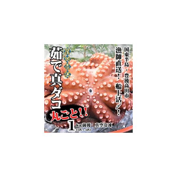 ふるさと納税 船上活締め！！ゆで真ダコ丸ごと(1~4匹) | 豊後高田市 タコ 蛸 たこ 大分県豊後高田市