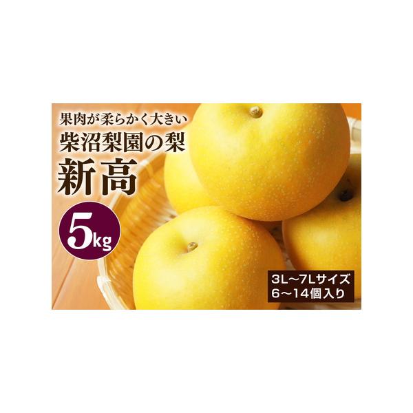 ■ 容量　梨(新高)約5kg×1箱　※3L〜7Lサイズ　※6〜14個入り■ 配送について　入金確認後、9月下旬〜10月上旬より順次発送予定となります。　※長期不在等での返品や、不在等でお受取が遅れて傷みが発生した場合の【再配送】は致しかねま...