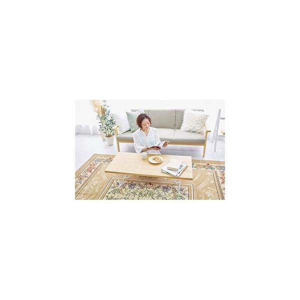 ふるさと納税 絨毯 ラグマット 3畳 長方形 250×200 洗える 厚手